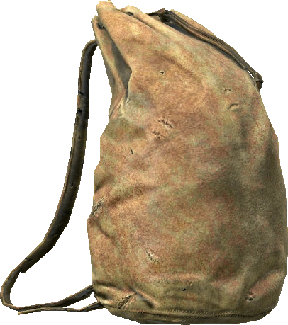 Leather Backpack