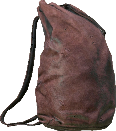 Leather Backpack