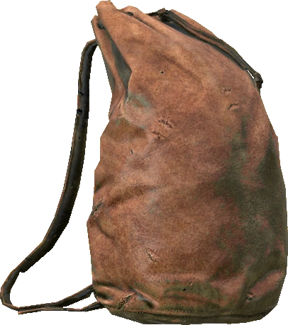 Leather Backpack