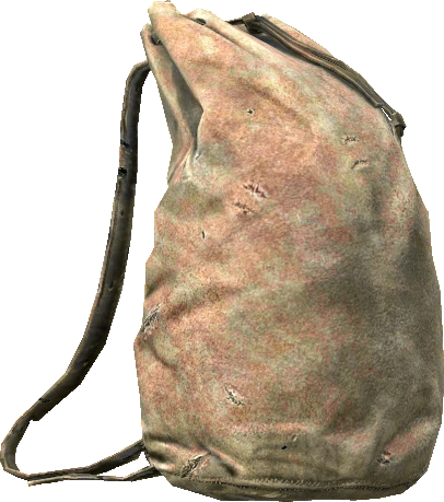 Leather Backpack