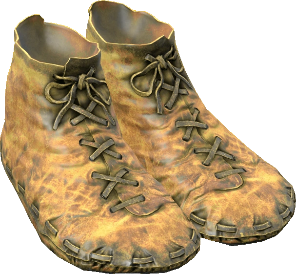 Leather Shoes