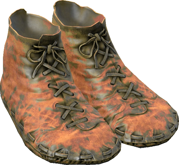 Leather Shoes
