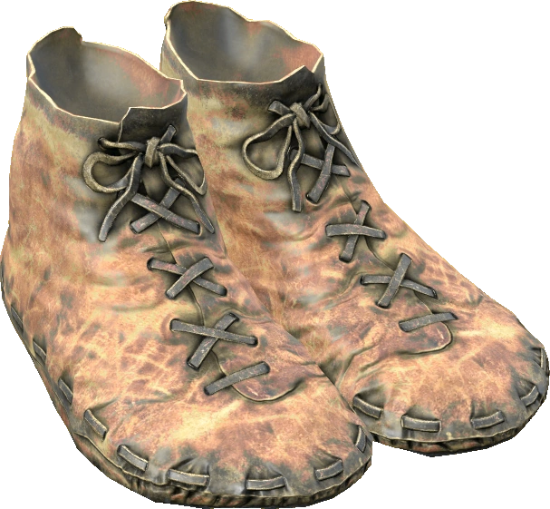 Leather Shoes