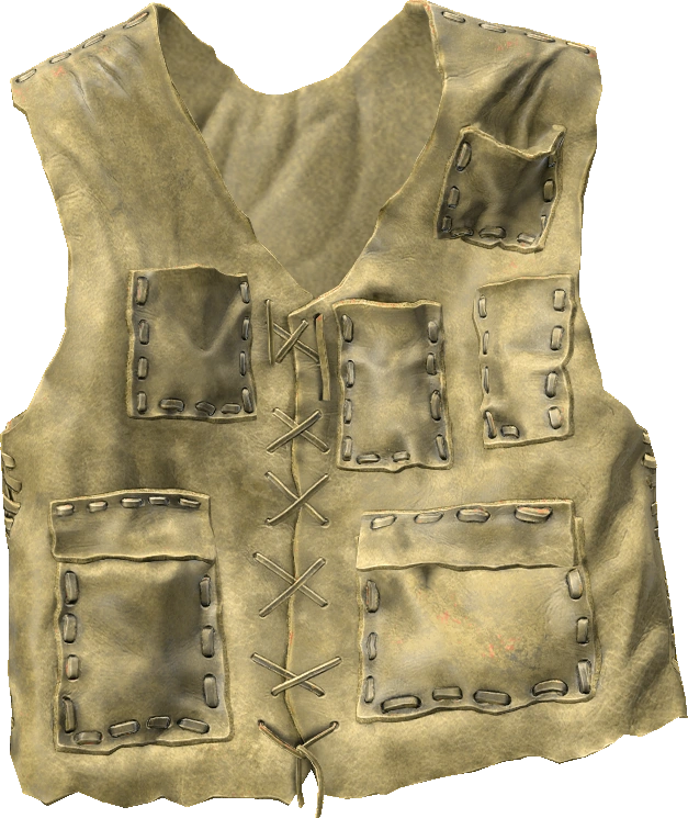 Leather Vest