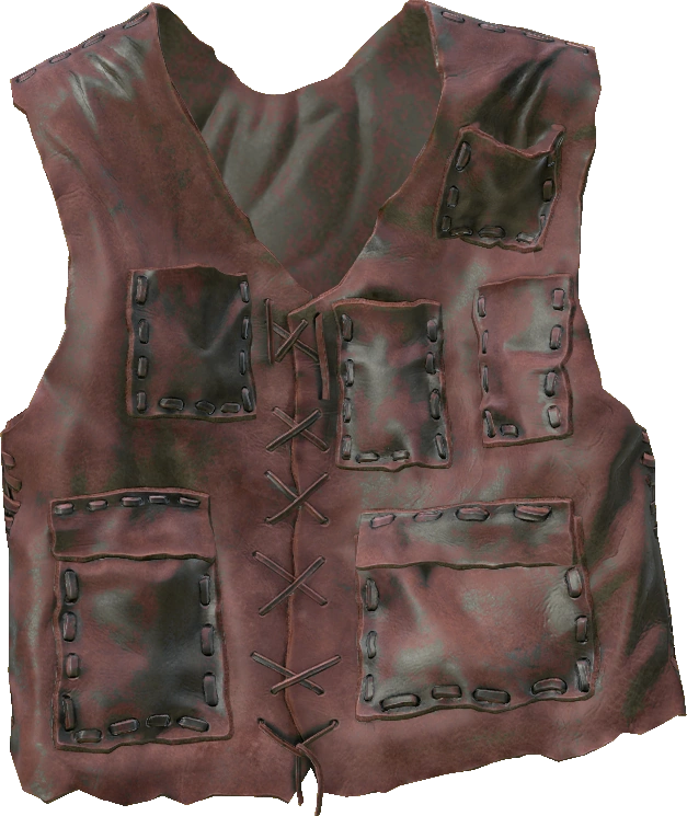 Leather Vest