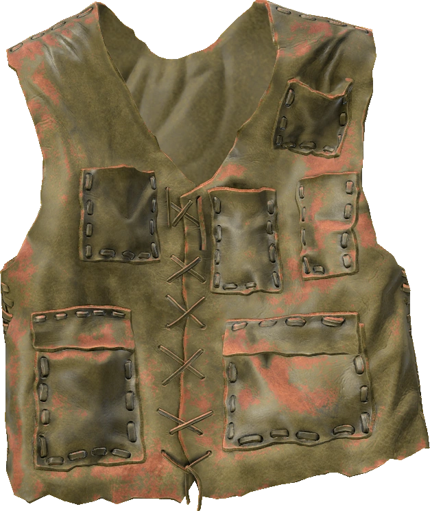 Leather Vest