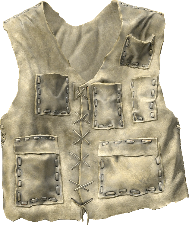 Leather Vest