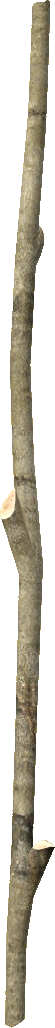 Long Stick