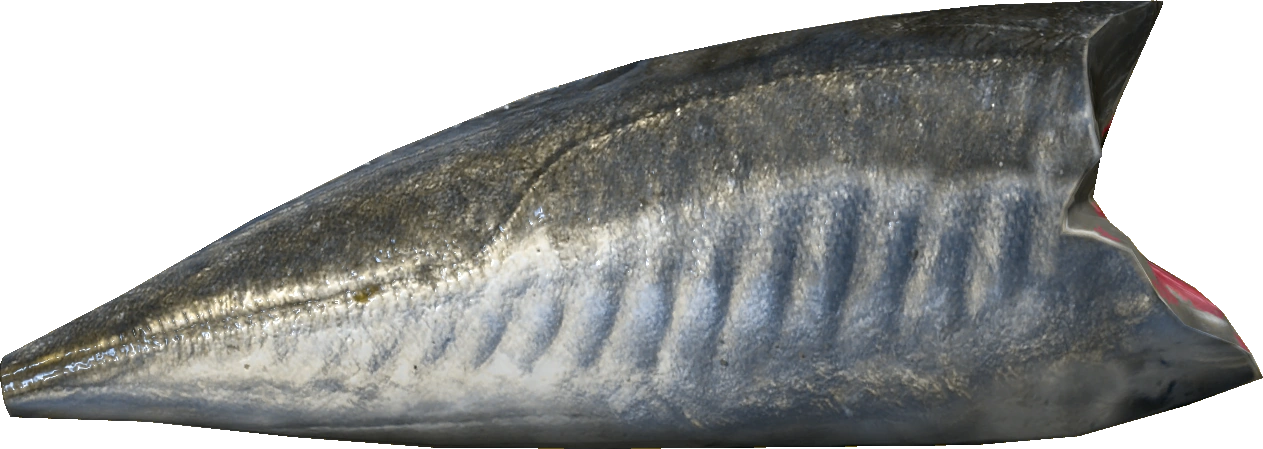 Mackerel Fillet