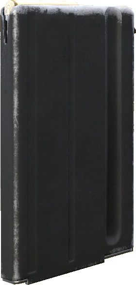 20rd LAR Mag