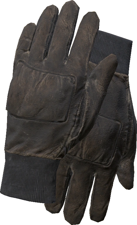 Padded Gloves