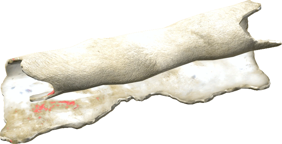 Pig Pelt