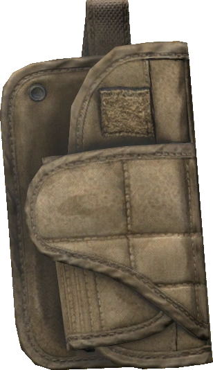 Holster