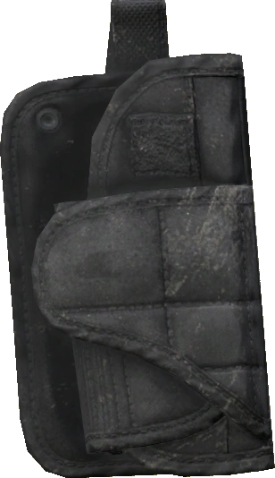 Holster