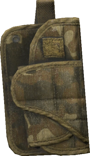 Holster