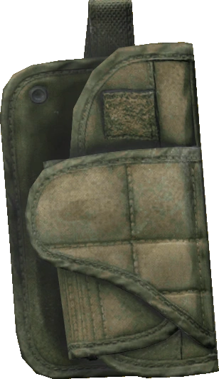 Holster