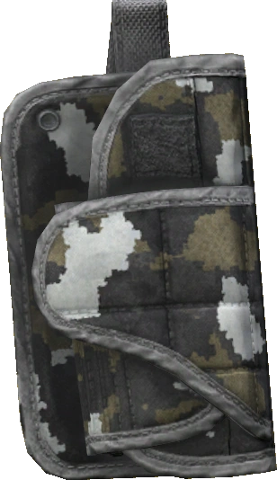 Holster