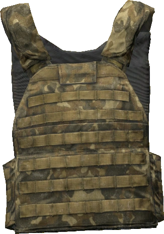 Plate Carrier