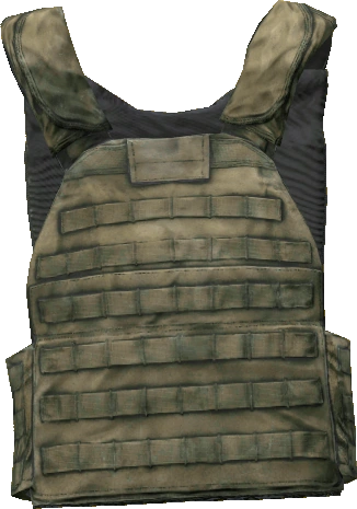 Plate Carrier