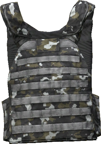 Plate Carrier
