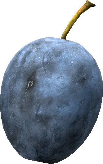 Plum