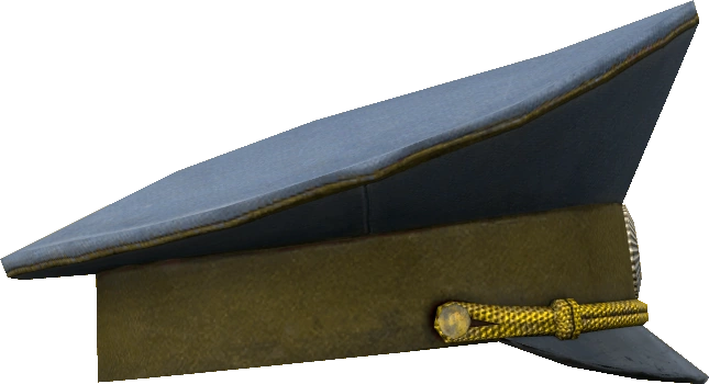 Police Cap