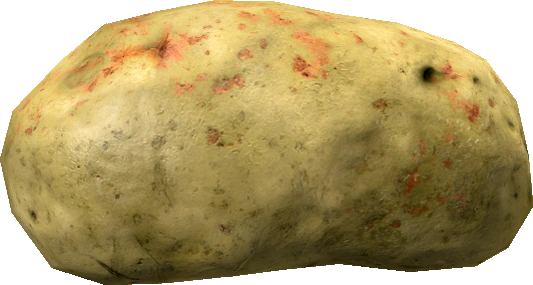Potato