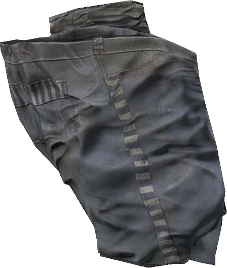 Prisoner Pants