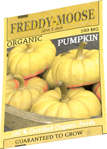 Packed Pumpkin Seeds