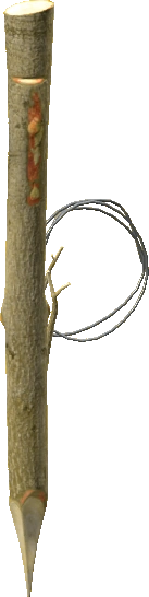 Snare Trap