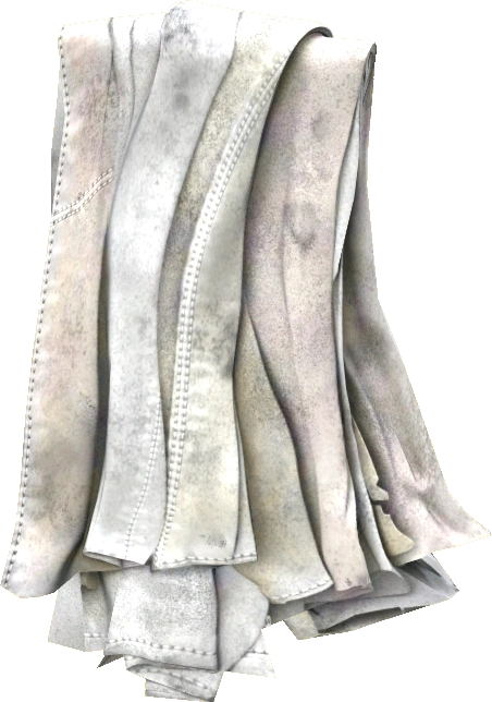 Rag
