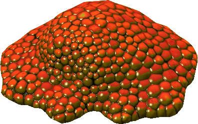 Red Caviar