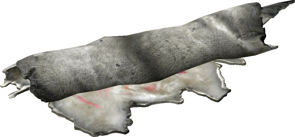 Reindeer Pelt