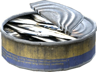 Canned Sardines