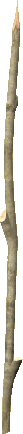 Sharpened Stick