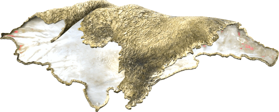 Sheep Pelt