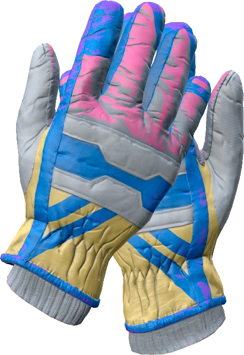 Ski Gloves