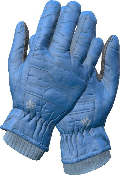 Ski Gloves