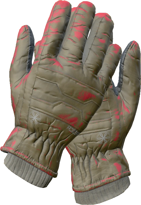 Ski Gloves