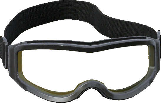 Ski Goggles