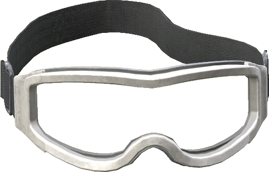 Ski Goggles