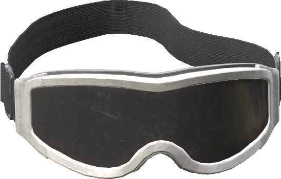 Ski Goggles