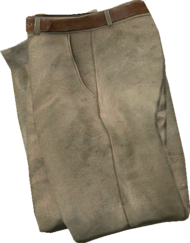 Suit Pants