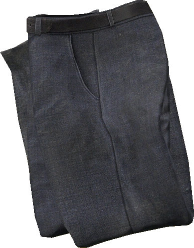 Suit Pants