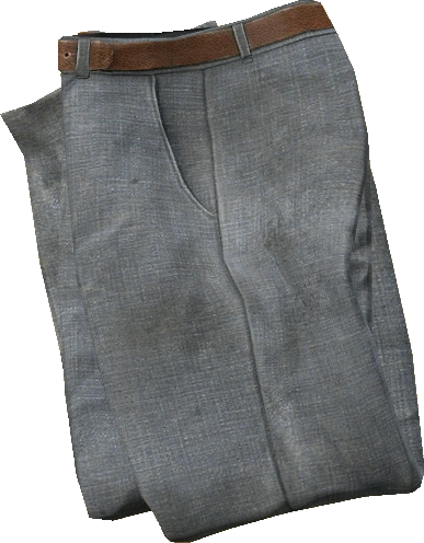 Suit Pants