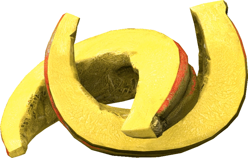 Pumpkin Slices