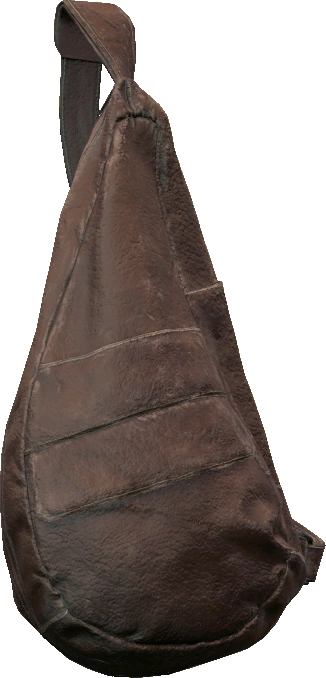 Sling Bag