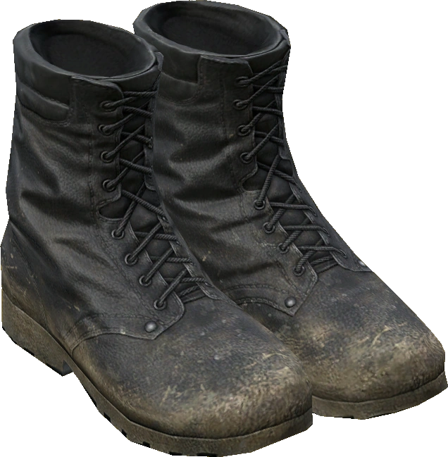 Combat Boots