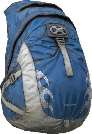 Hiking Backpack