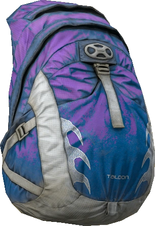 Hiking Backpack